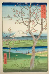 富嶽三十六景 武蔵越谷境