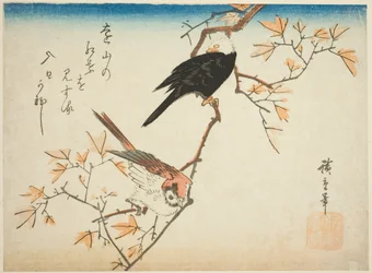 楓の枝に二羽の鳥