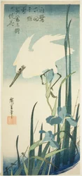 白鷺と菖蒲