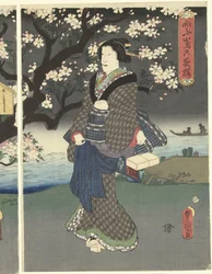 川沿いの夜の散歩