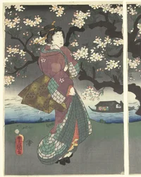 川沿いの夜の散歩