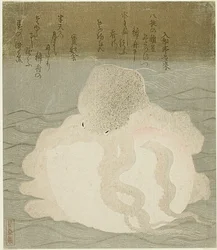 タコと貝殻