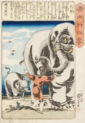泰順[Shunthe Great]、署名された一湯斎国芳画、1848年頃（カラー木版画）
