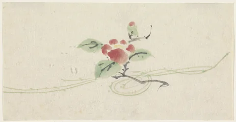 赤椿の枝