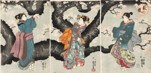 夜の桜[夜の桜]、1846年頃（木版画）