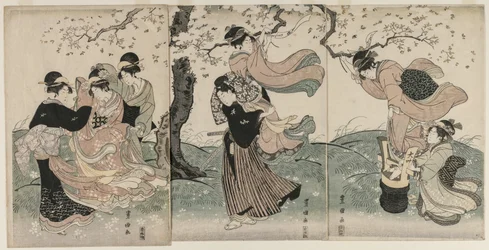 風吹く桜