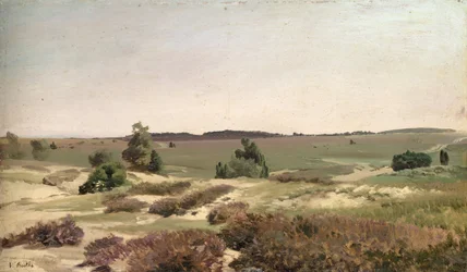 1887年のウィルセデ近くのヒース（船上の紙に油彩）
