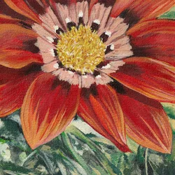 鮮やかなオレンジ色の花