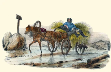 Le Paysan Russe.は、Victor Adamが描いた「Album Grotesque, Choices of Outstanding Types」に収録されており、1850年頃にパリで出版されました。