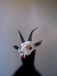神秘のヤギの頭蓋骨