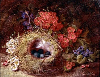 鳥の巣と花の静物画