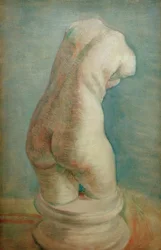 背面の石膏胴（女性）