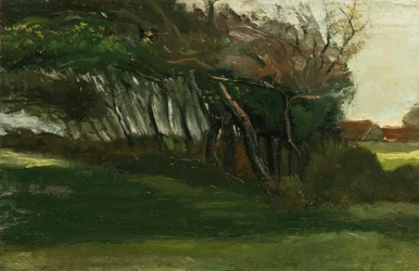 吹きさらしの木のある風景、c.1883-84（キャンバスに油彩）