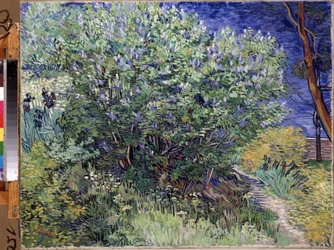 「ライラックの茂み」 (ライラックの茂み) Vincent van Gogh (1853-1890) による絵画 1889 Dim. 72x92 cm エルミタージュ美術館、サンクトペテルブルク (サンクトペテルブルク)