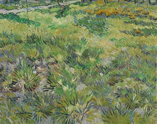 蝶と長い草、1890