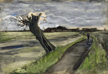 ポラード川柳（saule tetard） par Gogh, Vincent, van (1853-1890).紙に鉛筆、水彩、グワッシュ、インク、サイズ：38x55,8