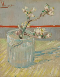 グラスの中のアーモンドの花の小枝