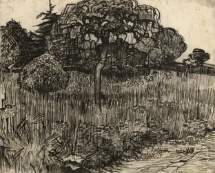 しだれの木、1889