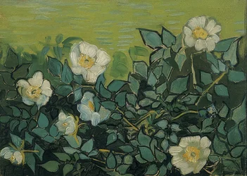 Wildrosen。 1889