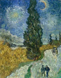 星空の下のサイプレスパス