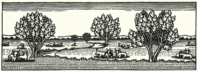 トーマス・ハーディの「Tess Of The DUrbervilles」のイラスト（彫刻）。