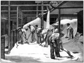 1873年、ブリストルにあるカウンタースリップ製糖所での砂糖作り。