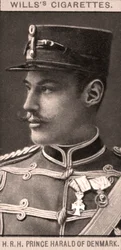 デンマークのハロルド王子、1908年。
