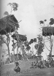 ドボ、メラネシアの未婚女性のための木の家、1902