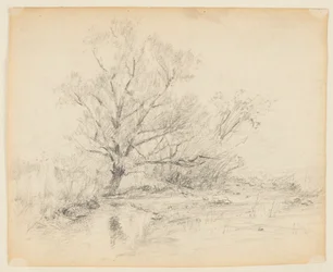 風景画