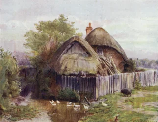 ザ・ニュー・フォレストバートリーのコテージ（カラーリトグラフ