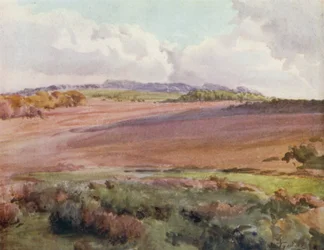 ザ・ニュー・フォレストAcross Malwood Walk from the Road to Fritham (カラーリトグラフ)