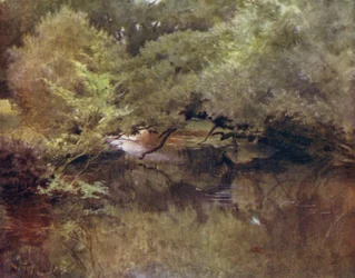 ニューフォレスト。ボールドレ近くのロイデンのリミントン川（カラーリトグラフ