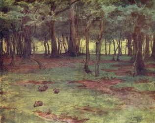 ザ・ニュー・フォレストセトリー・プレインの森（カラーリトグラフ