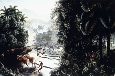 サワからグヌンアグンまでの景色、c。 1937-1939（船内の油）