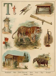 Letter T (chromolitho)