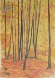 ワルディネーレス