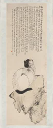 猫です。