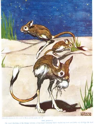 ジョン・アーサー・トンプソン（1861-1933）による「新しい自然史」のイラスト、GPパトナムの息子による出版、1926年