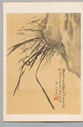 蘭