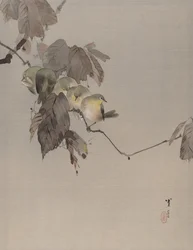 ブランチ上の鳥、ca。 1887。