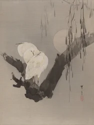 夜の木のサギ、ca。 1887。