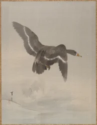 フライング グース 1887年。