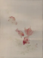 金魚、ca。 1887。