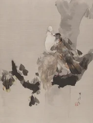木のハト、ca。 1887。