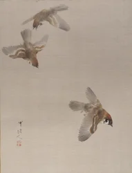 スズメの飛翔（1887年頃