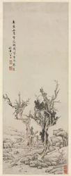 冬の小川のそばの古い木