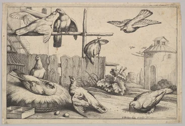 8匹の鳩、1625-77。