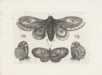 蝶、甲虫、蛾 昆虫（連載タイトル） Muscarum Scarabeorum (シリーズタイトル)