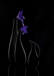 パープル・ブルームの花瓶