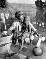 没薬と乳香を集める（アフリカ、ソマリア、1936年